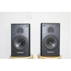 MONITORES INFINITY REFERENCE 20
